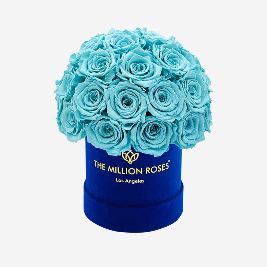 Basic Royal Blue Suede Superdome Box | Turquoise Roses - The Million Roses