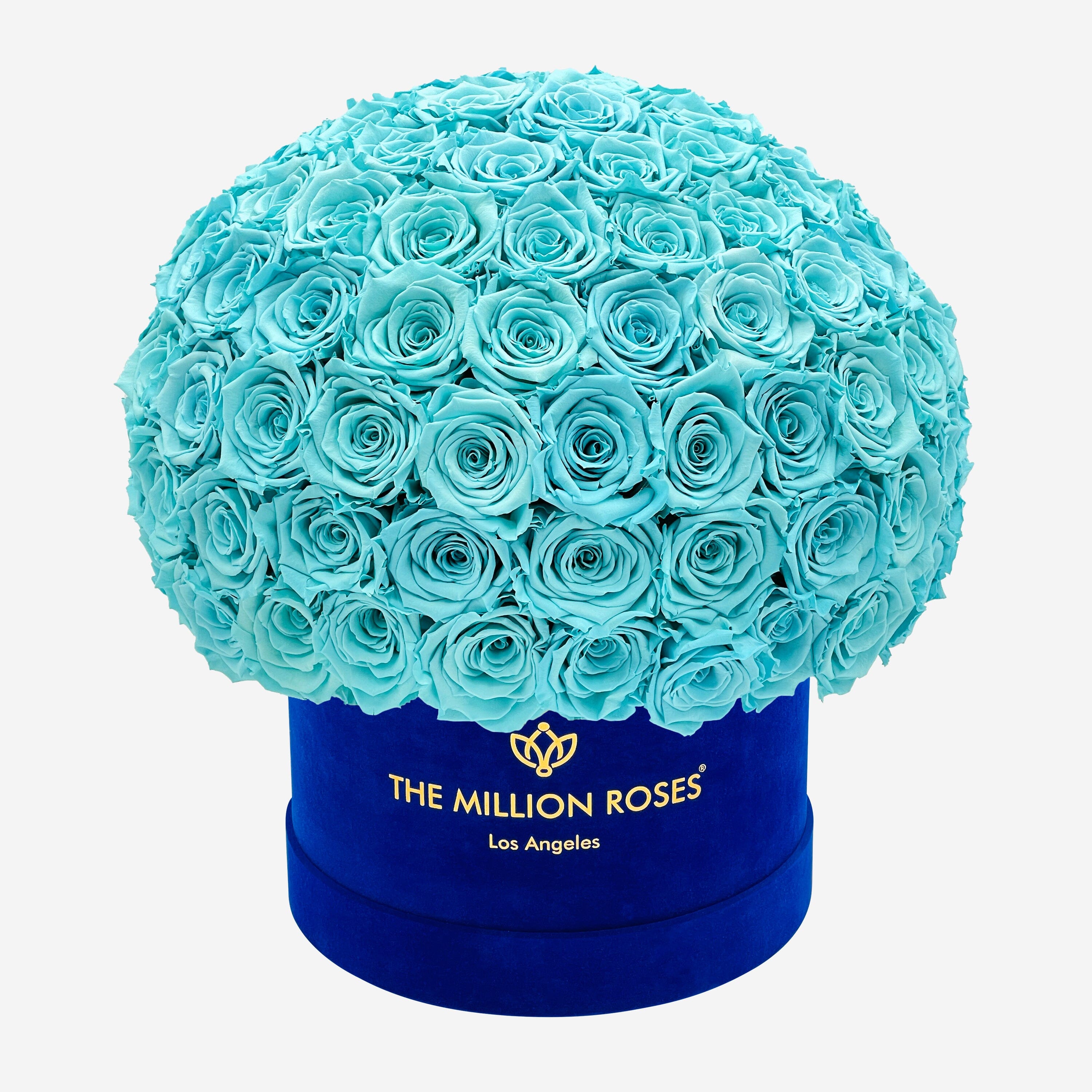 Supreme Royal Blue Suede Superdome Box | Turquoise Blue Roses - The Million Roses