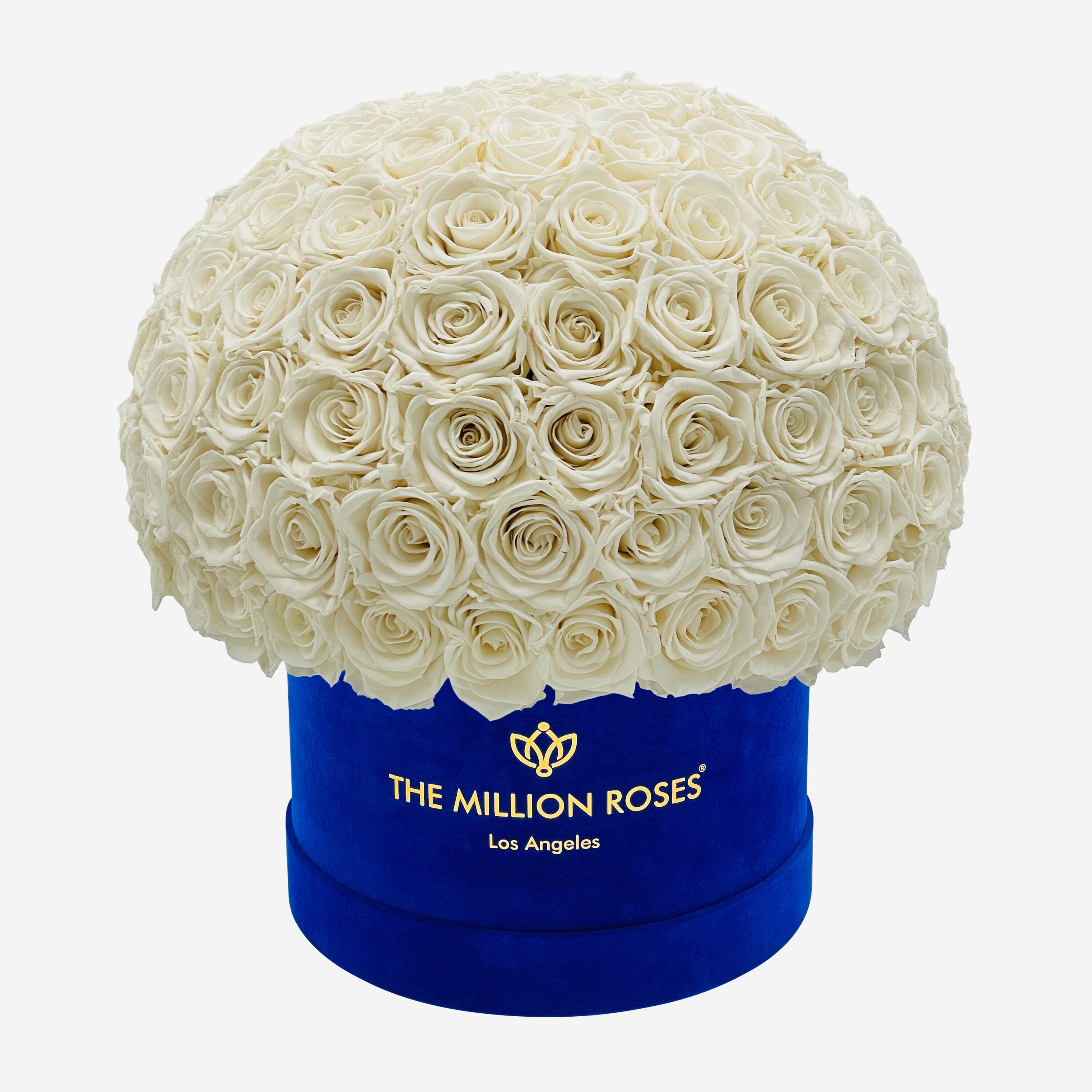 Supreme Royal Blue Suede Superdome Box | White Roses - The Million Roses