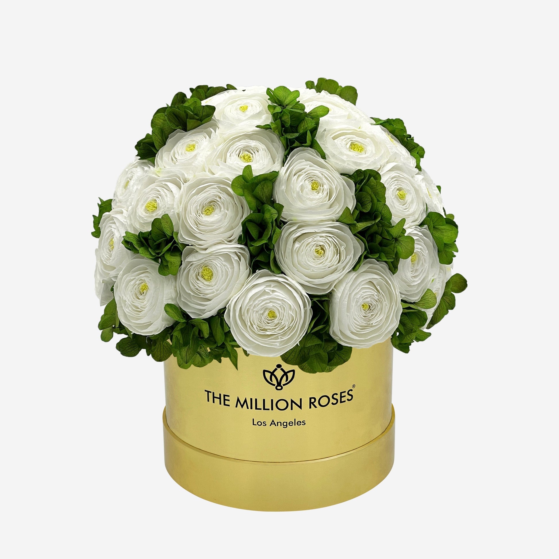 Classic Mirror Gold Box | White Persian Buttercups & Green Hydrangeas - The Million Roses