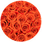 Classic Gold Box | Orange Roses - The Million Roses