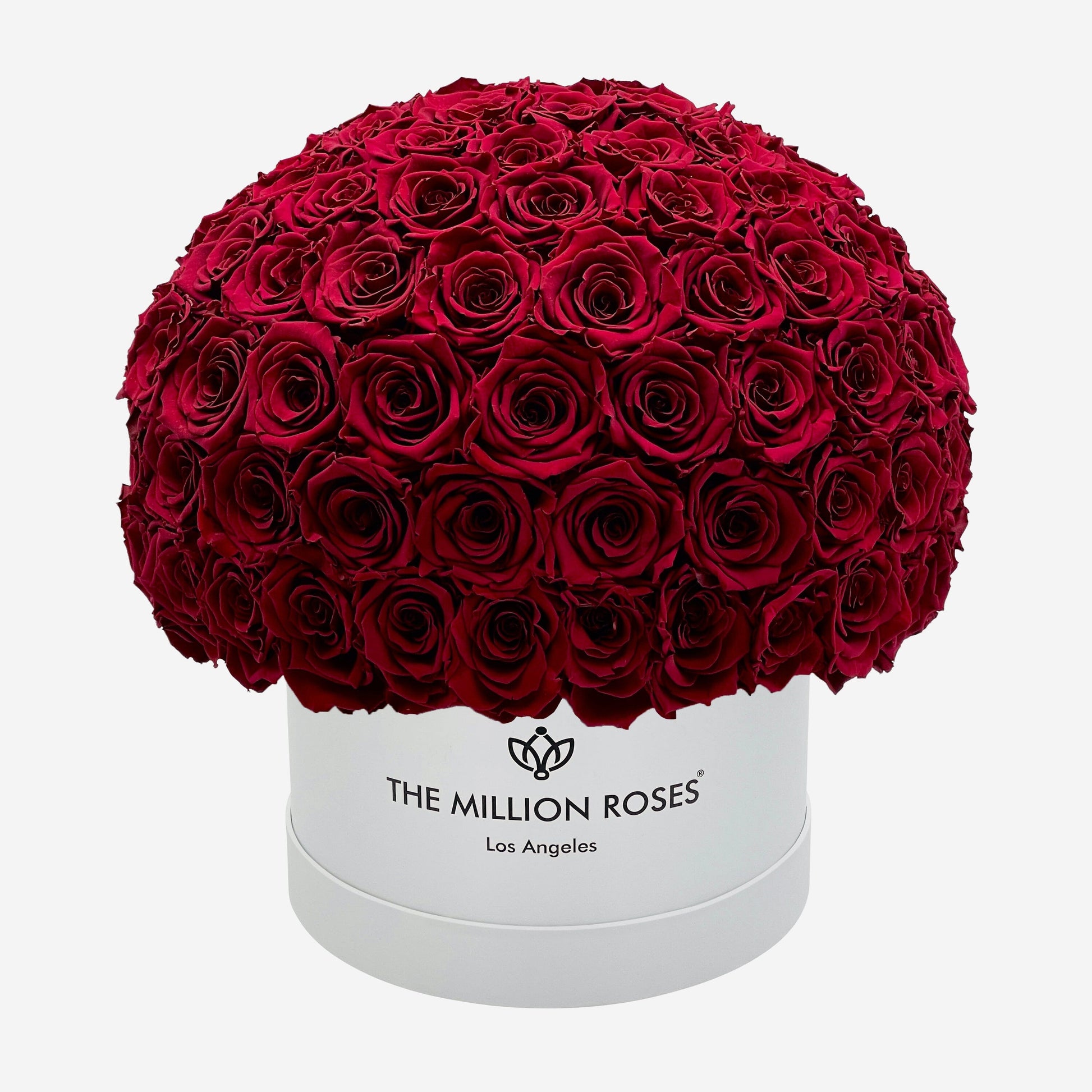 Supreme White Superdome Box | Burgundy Roses - The Million Roses
