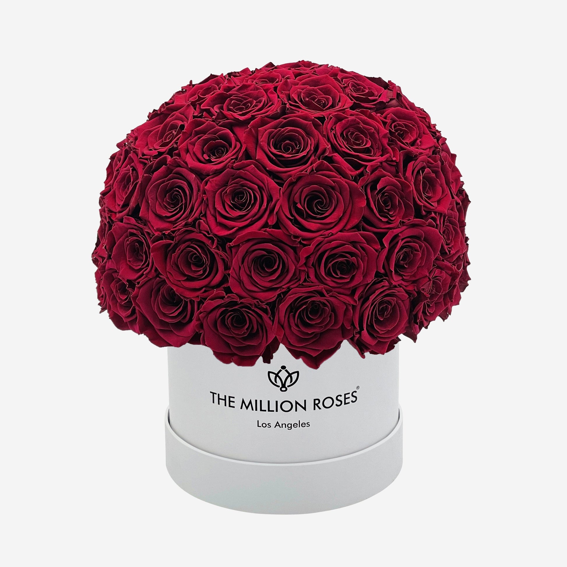 Classic White Superdome Box | Burgundy Roses - The Million Roses