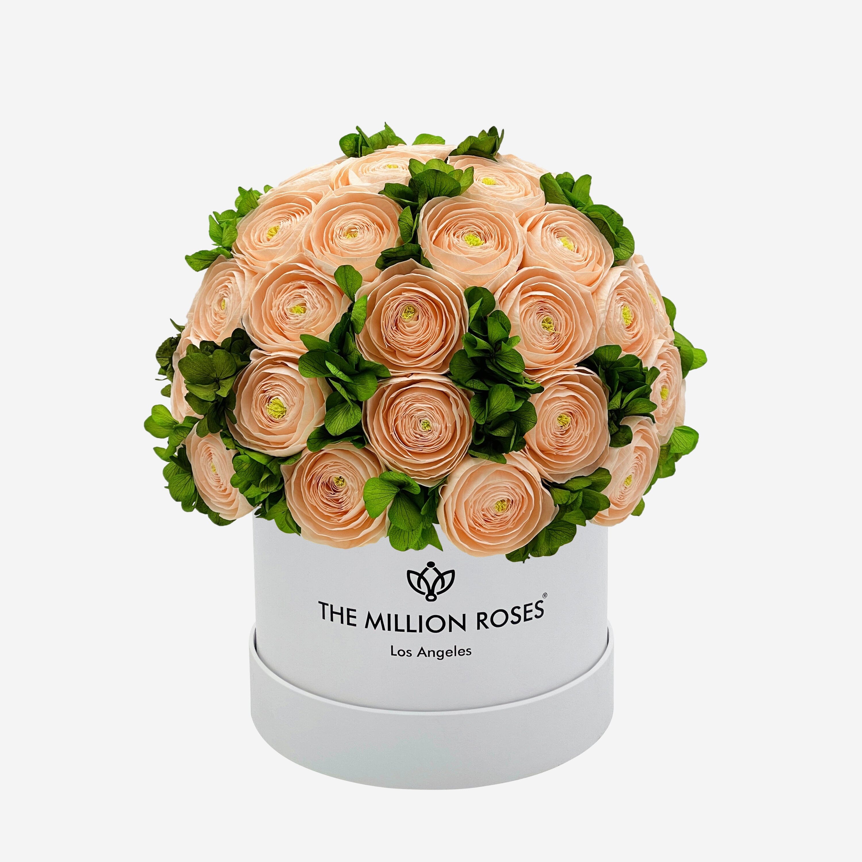 Classic White Box | Peach Persian Buttercups & Green Hydrangeas - The Million Roses