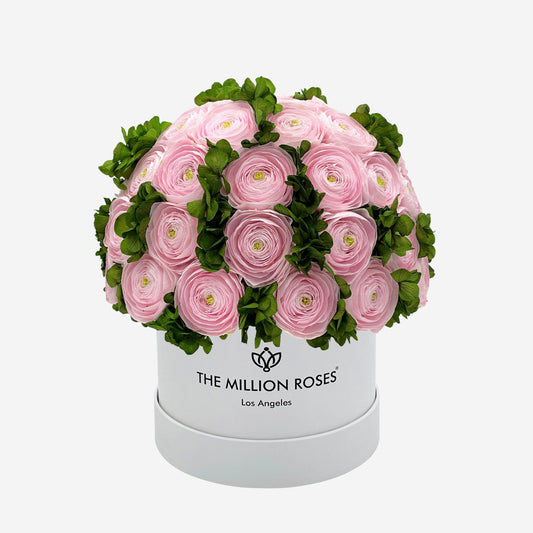 Classic White Box | Light Pink Persian Buttercups & Green Hydrangeas - The Million Roses