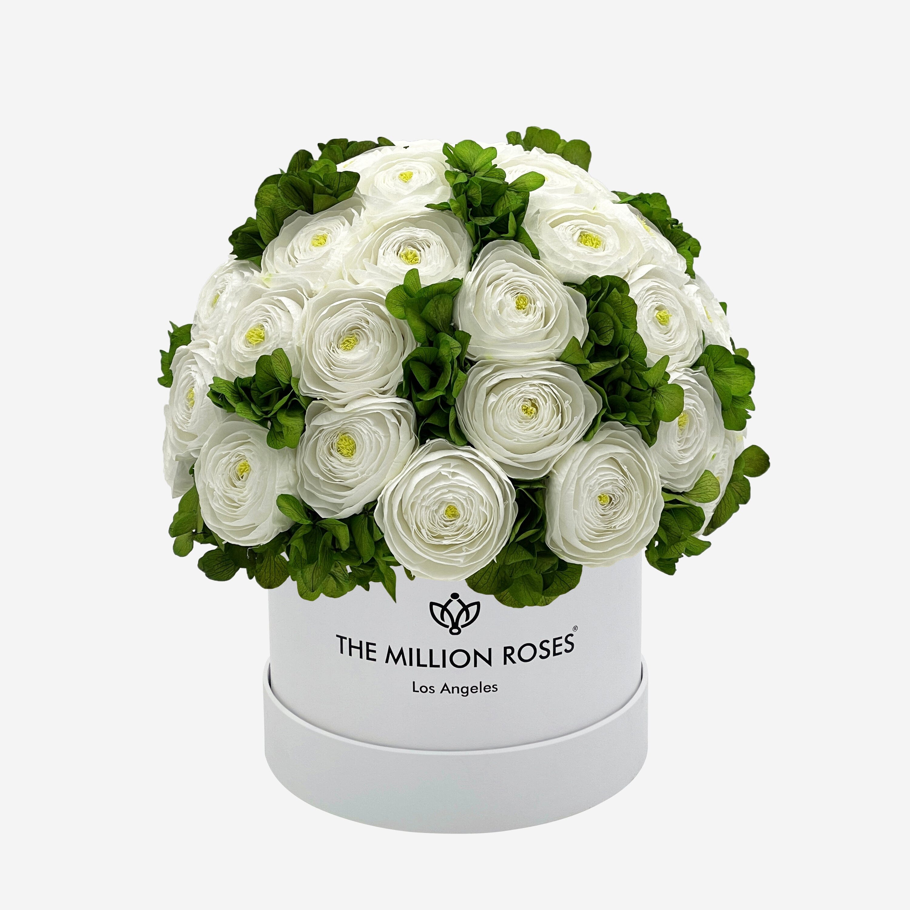 Classic White Box | White Persian Buttercups & Green Hydrangeas - The Million Roses