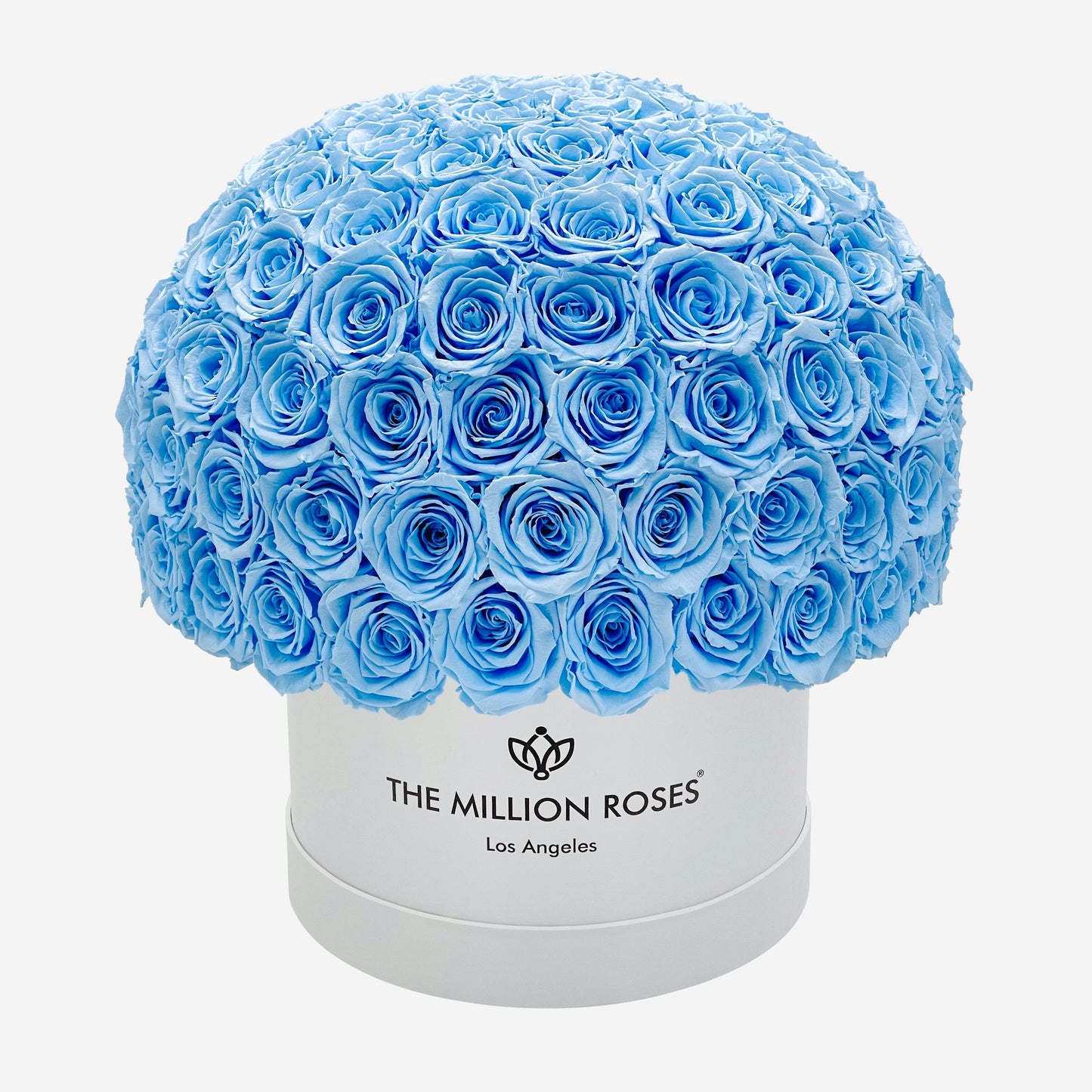Supreme White Superdome Box | Light Blue Roses - The Million Roses