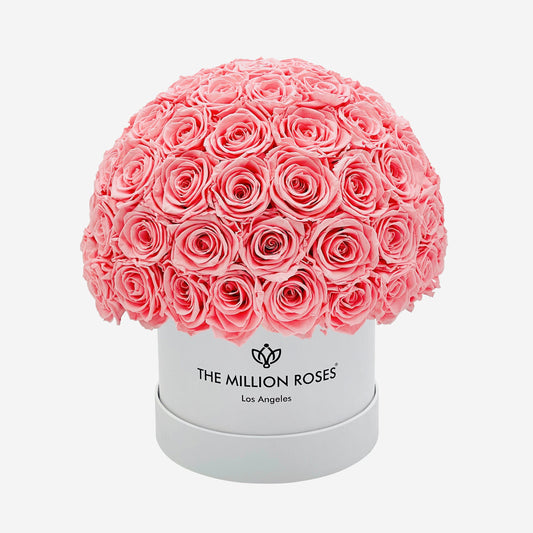 Classic White Superdome Box | Light Pink Roses - The Million Roses
