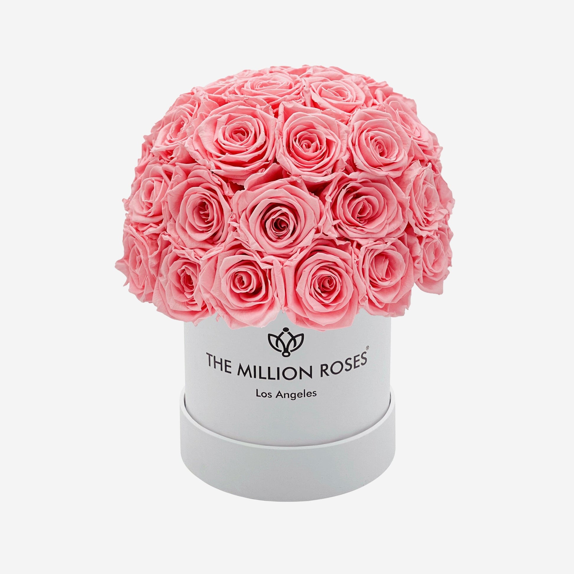 Basic White Superdome Box | Light Pink Roses - The Million Roses