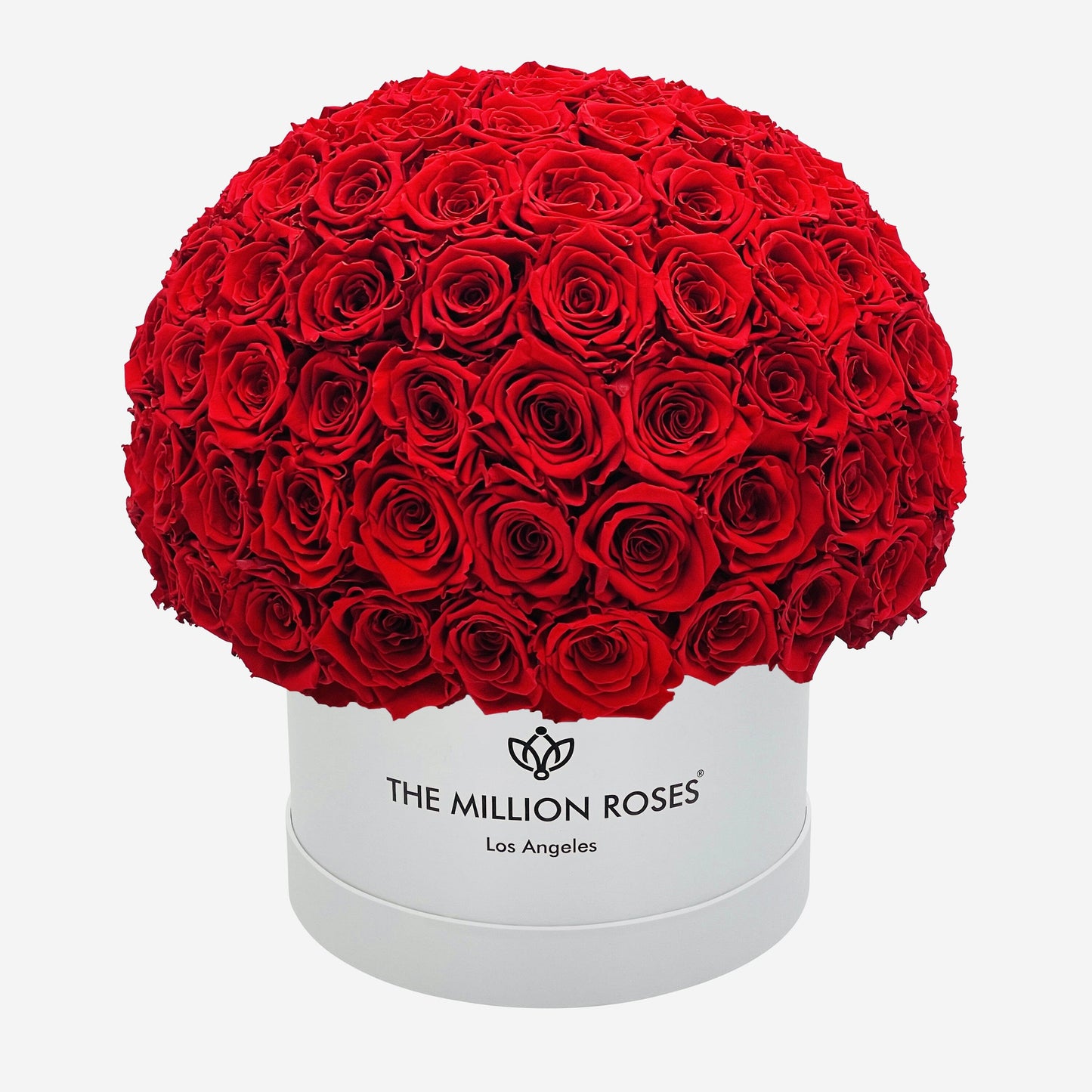 Supreme White Superdome Box | Red Roses - The Million Roses