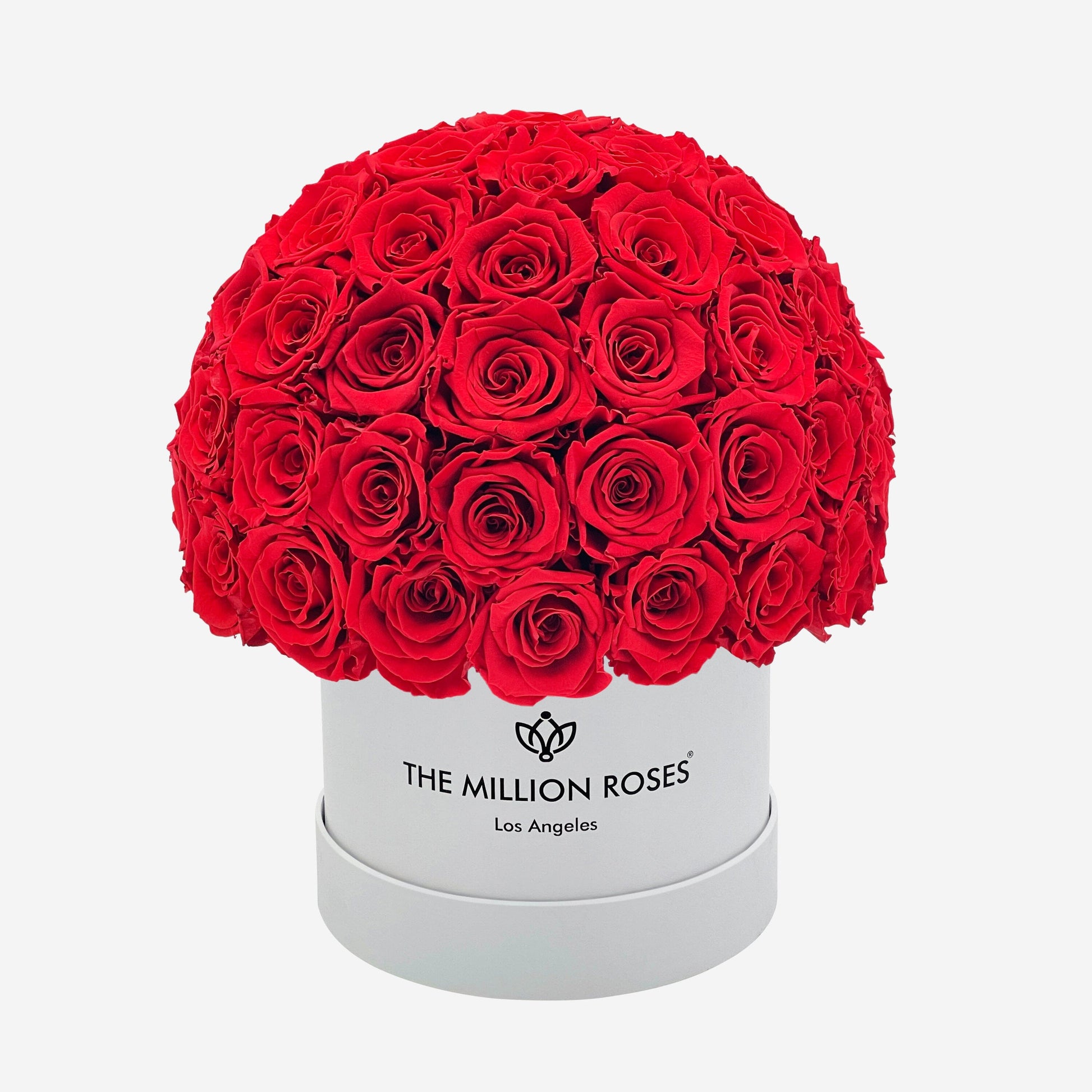 Classic White Superdome Box | Red Roses - The Million Roses