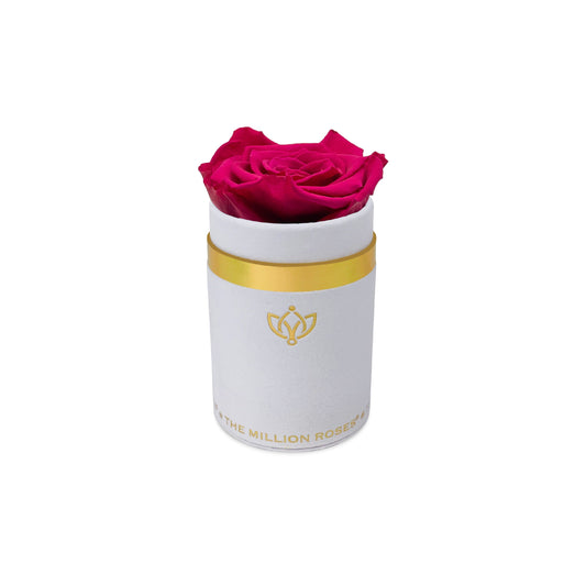 Single White Suede Box | Magenta Rose - The Million Roses