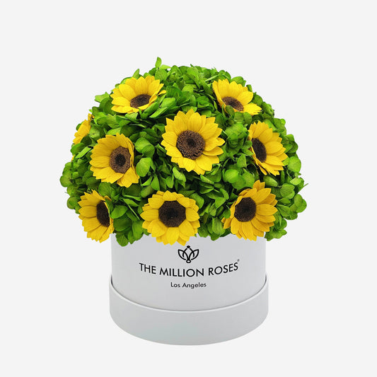 Classic White Box | Green Hydrangeas & Sunflowers - The Million Roses