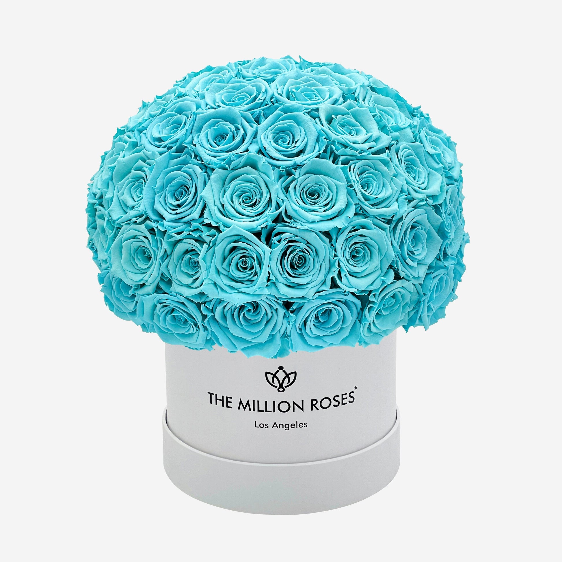 Classic White Superdome Box | Turquoise Roses - The Million Roses