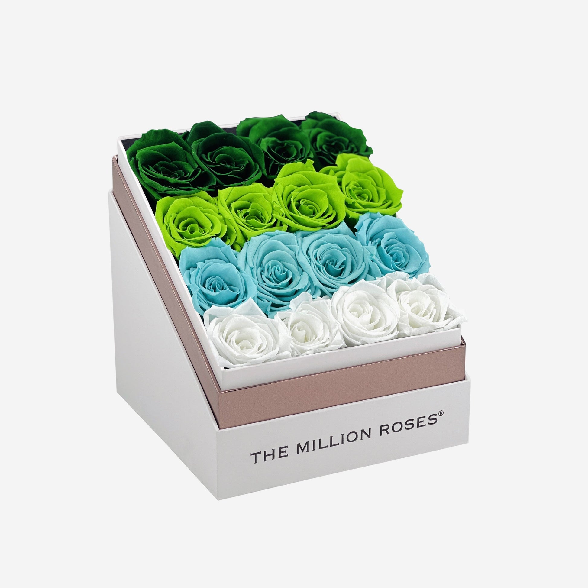 Square White Box | Green Fade - The Million Roses