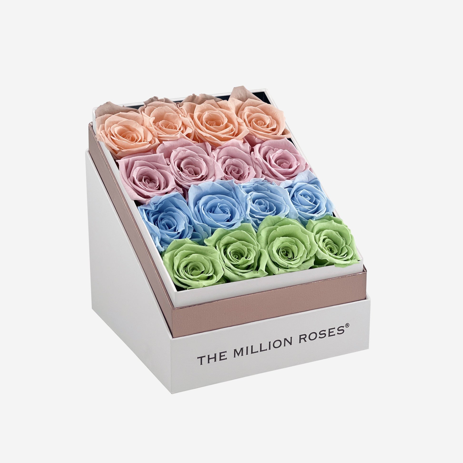 Square White Box | Pastel Fade - The Million Roses