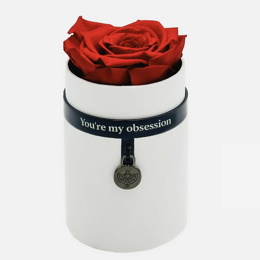 Cutie Albă One in a Million™ Round | Ediția Charm | Trandafir roșu